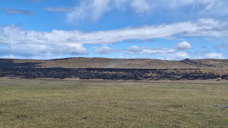 Incendio forestal en estancias de Porvenir se encuentra contenido | 43 hectáreas fueron afectadas