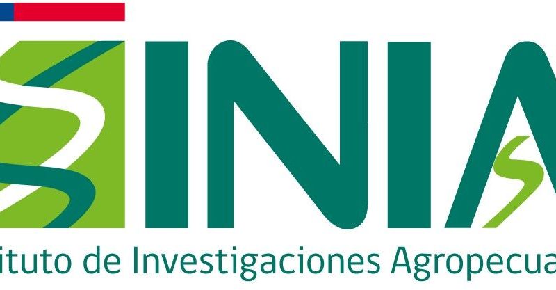 A un Día de Campo invita INIA Kampenaike