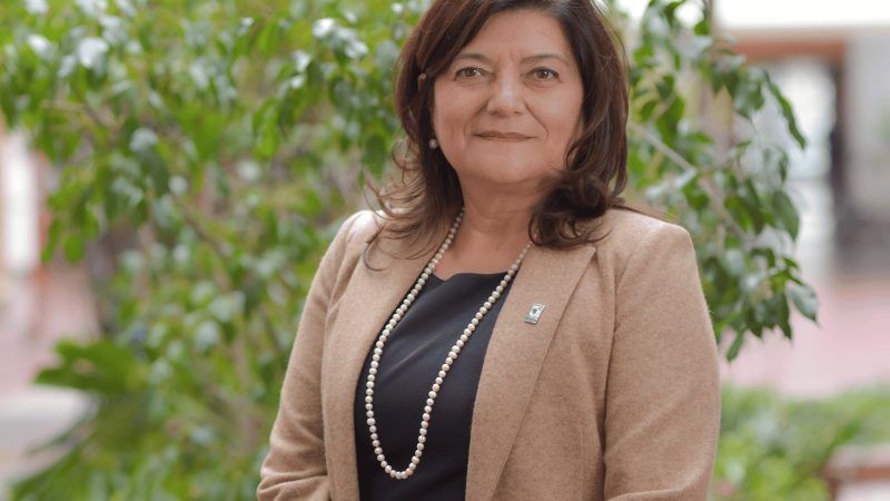Educación: Una prioridad permanente del Estado y la sociedad chilena | Marisol Durán Santis, Rectora de la Universidad Tecnológica Metropolitana (UTEM)