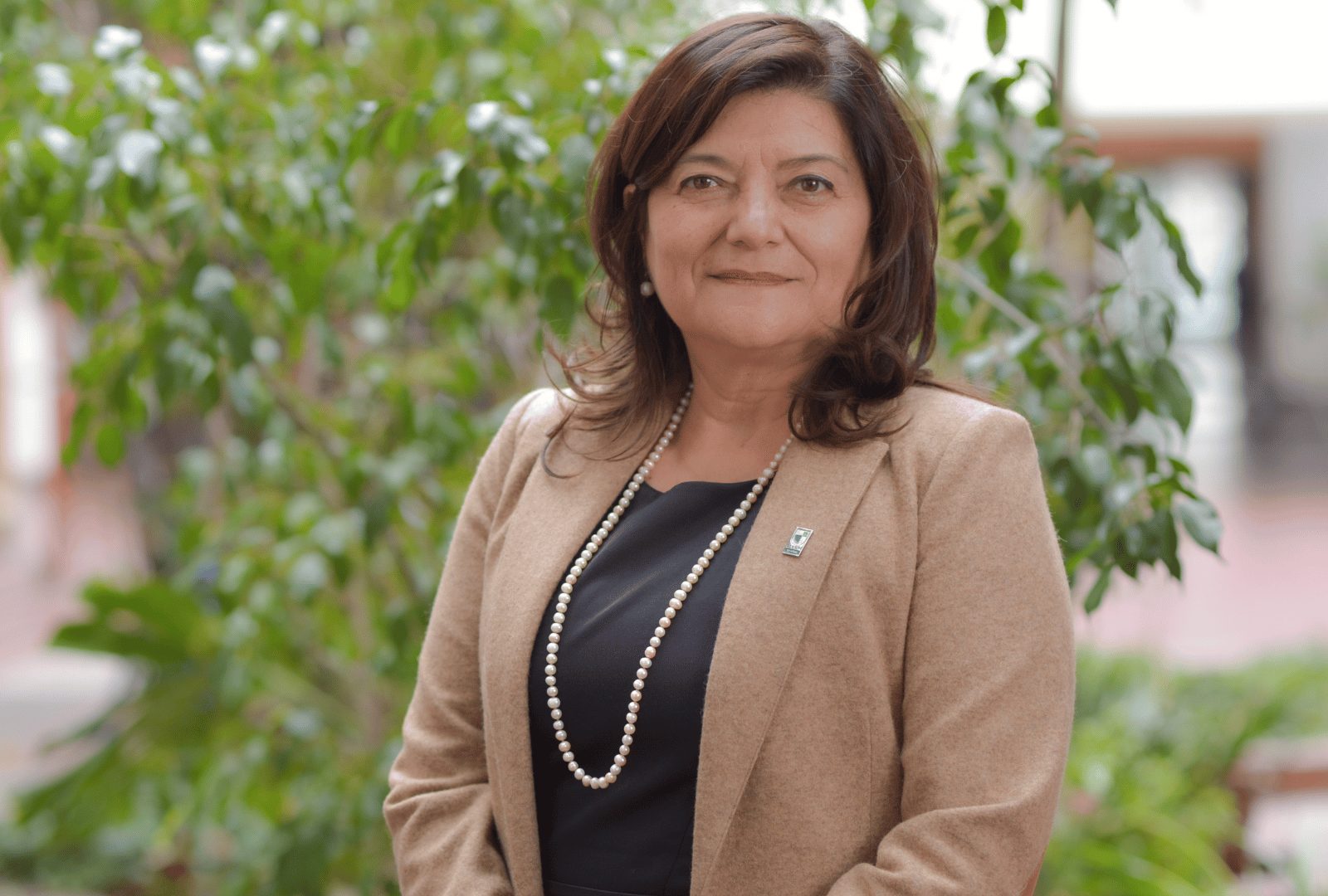 Educación: Una prioridad permanente del Estado y la sociedad chilena | Marisol Durán Santis, Rectora de la Universidad Tecnológica Metropolitana (UTEM)