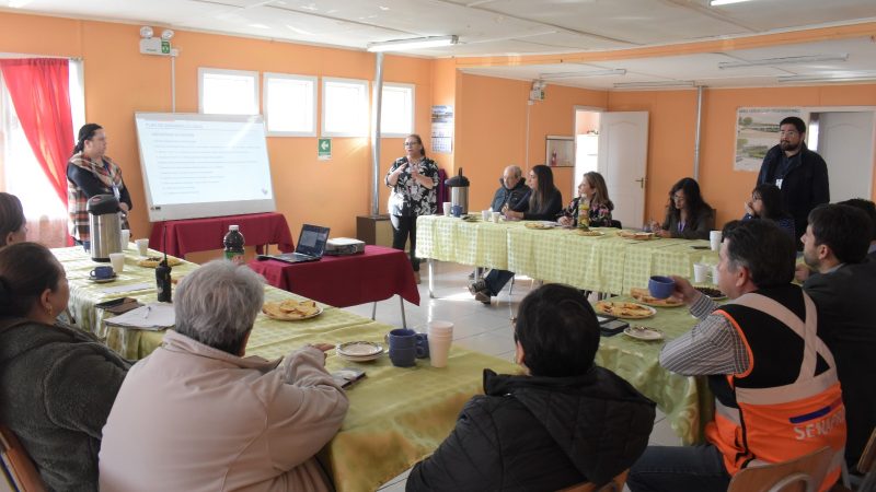 Mesa de Acción Local se reunió con autoridades regionales en Punta Arenas