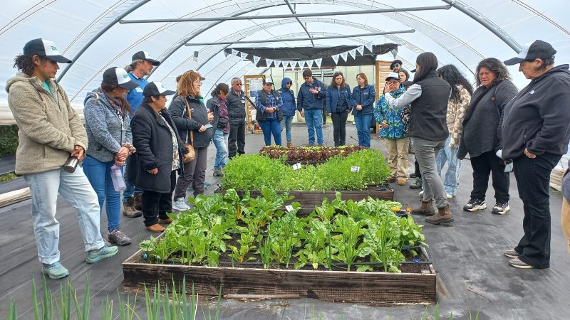 Programa “Transición a la Agricultura Sostenible” reunió en INIA Kampenaike a usuarios de Punta Arenas y Puerto Natales