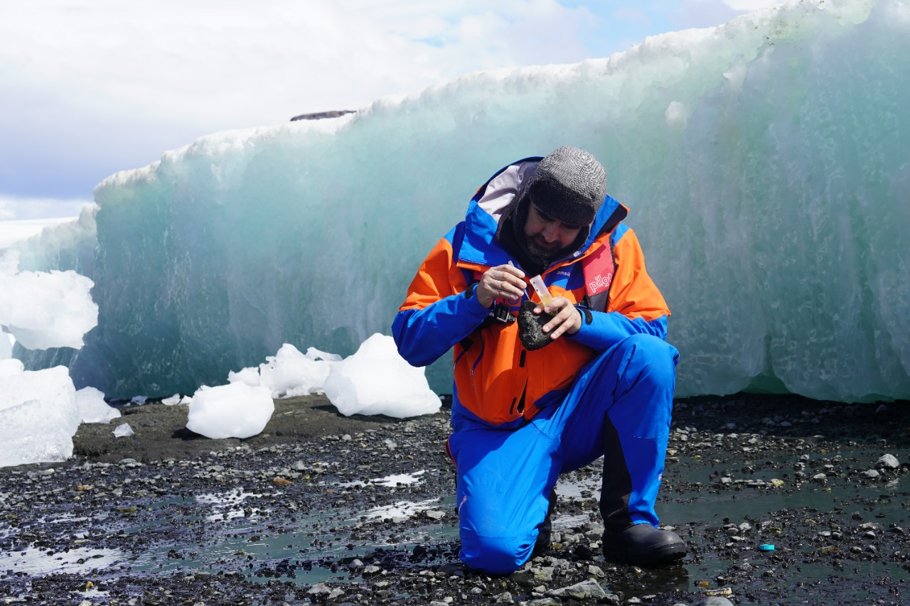 Investigación del Centro IDEAL | Caracol antártico habría sobrevivido los momentos más fríos del Cuaternario