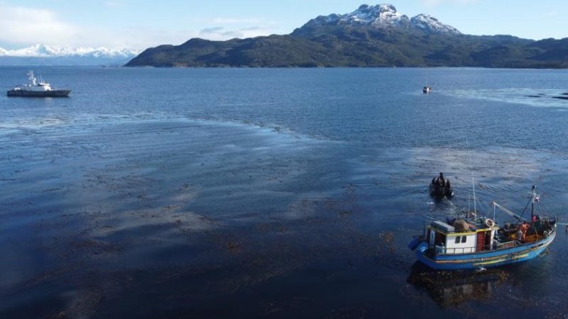 Fiscalización en Isla Magdalena detectó operaciones de pesca ilegal