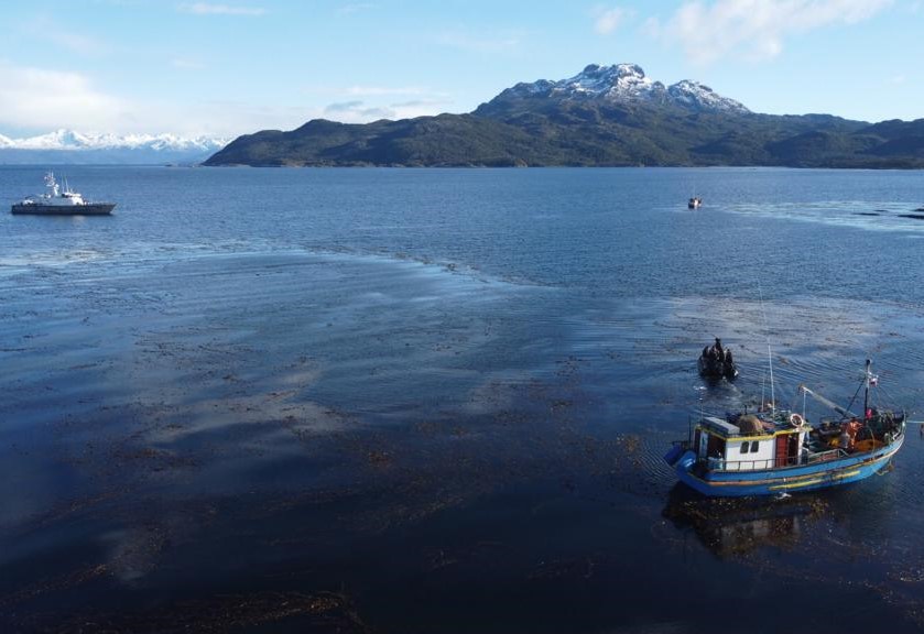 Fiscalización en Isla Magdalena detectó operaciones de pesca ilegal