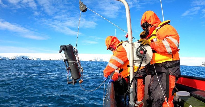Investigación del Centro IDEAL: Por primera vez detectan que bacterias degradan contaminantes en la Antártica