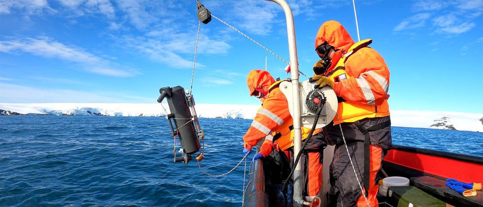 Investigación del Centro IDEAL: Por primera vez detectan que bacterias degradan contaminantes en la Antártica