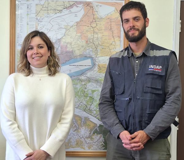 Director regional de INDAP y Delegada Provincial de Tierra del Fuego constituirán Mesa contra el Abigeato
