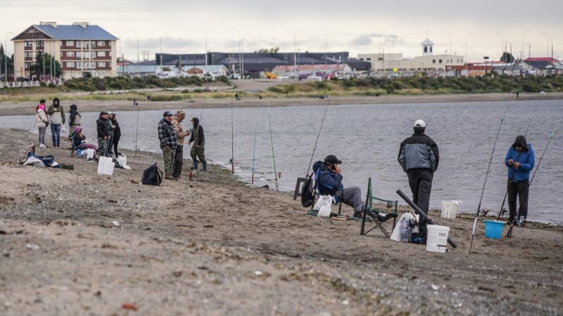 Exitoso Campeonato de Pesca se realizó en la Costanera del Estrecho de Magallanes | Organizó la Municipalidad de Punta Arenas