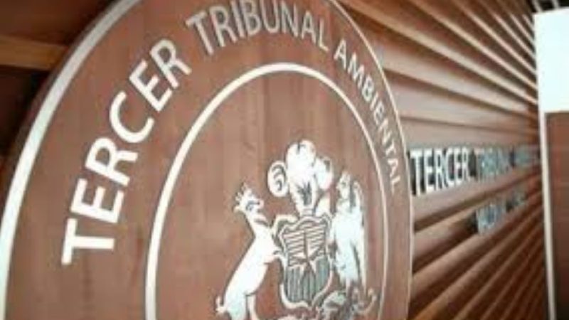 Tribunal Ambiental se declaró incompetente para conocer demanda de vecinos por daño ambiental contra vertedero municipal de Puerto Natales