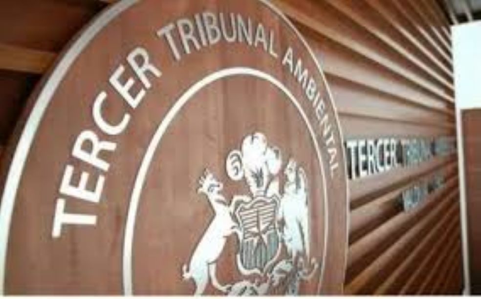 Tribunal Ambiental se declaró incompetente para conocer demanda de vecinos por daño ambiental contra vertedero municipal de Puerto Natales