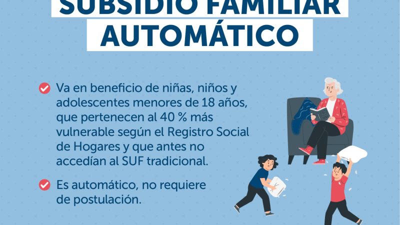 Seremi de Desarrollo Social y Familia e IPS llaman a personas a revisar si son beneficiarias del Subsidio Familiar Automático en Magallanes