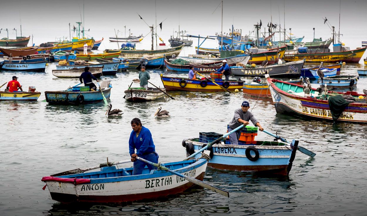 La importancia de la pesca artesanal en el desarrollo de Chile | Proyecto de nueva Ley General de Pesca