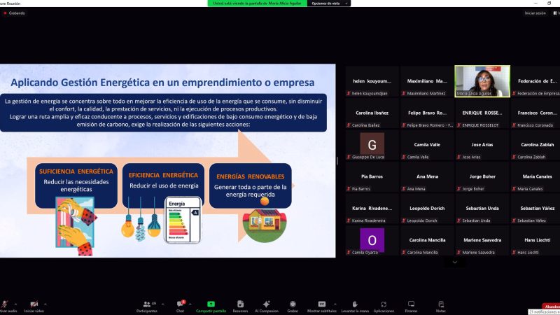 SEREMI de Energía de Magallanes dictó primer taller on line sobre eficiencia energética para el sector turismo