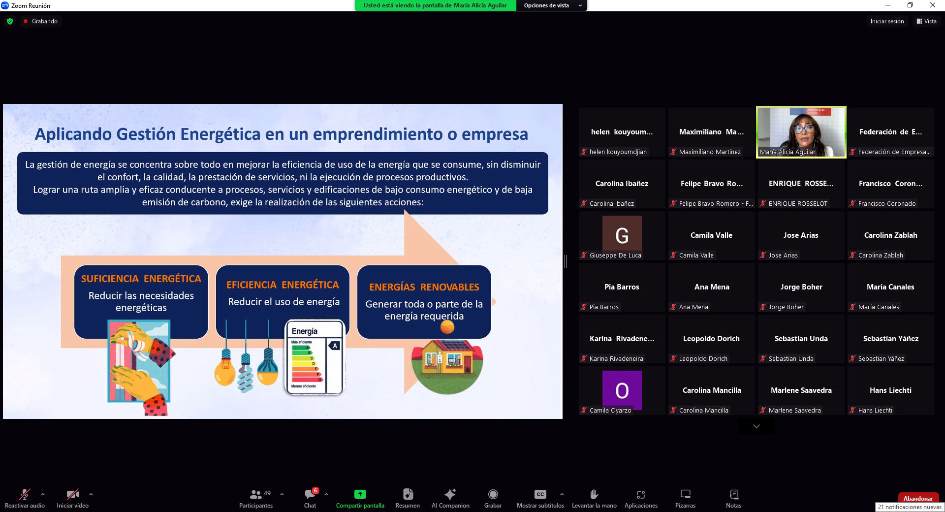 SEREMI de Energía de Magallanes dictó primer taller on line sobre eficiencia energética para el sector turismo