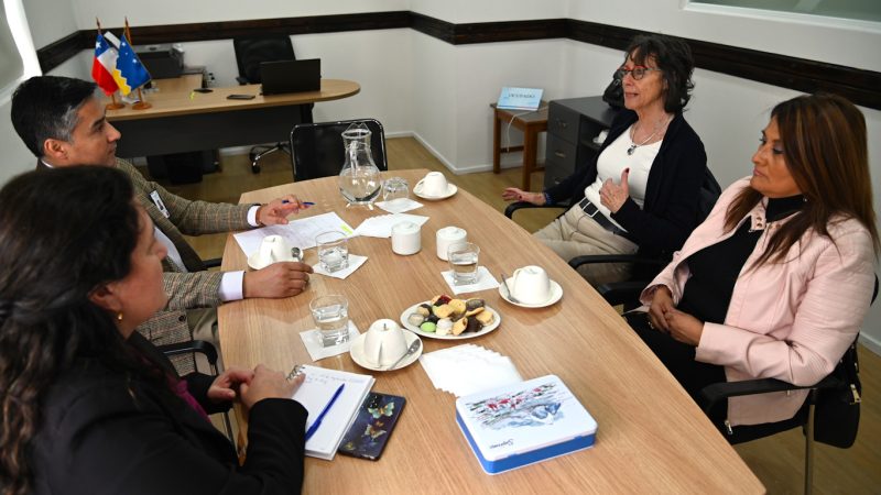 Consulado de Francia en Punta Arenas propone impulsar aprendizaje del idioma en las escuelas públicas