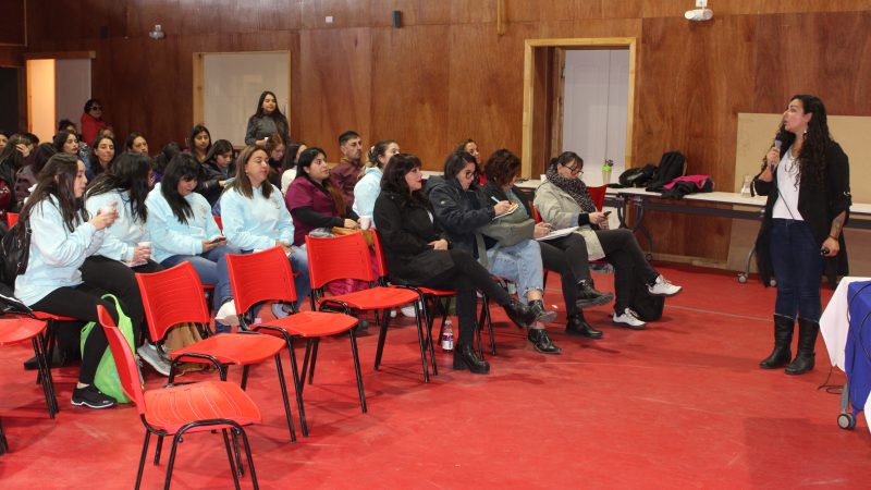 En seminario dirigido a la comunidad educativa de la provincia | Delegada Presidencial de Ultima Esperanza valora implementación de Ley TEA