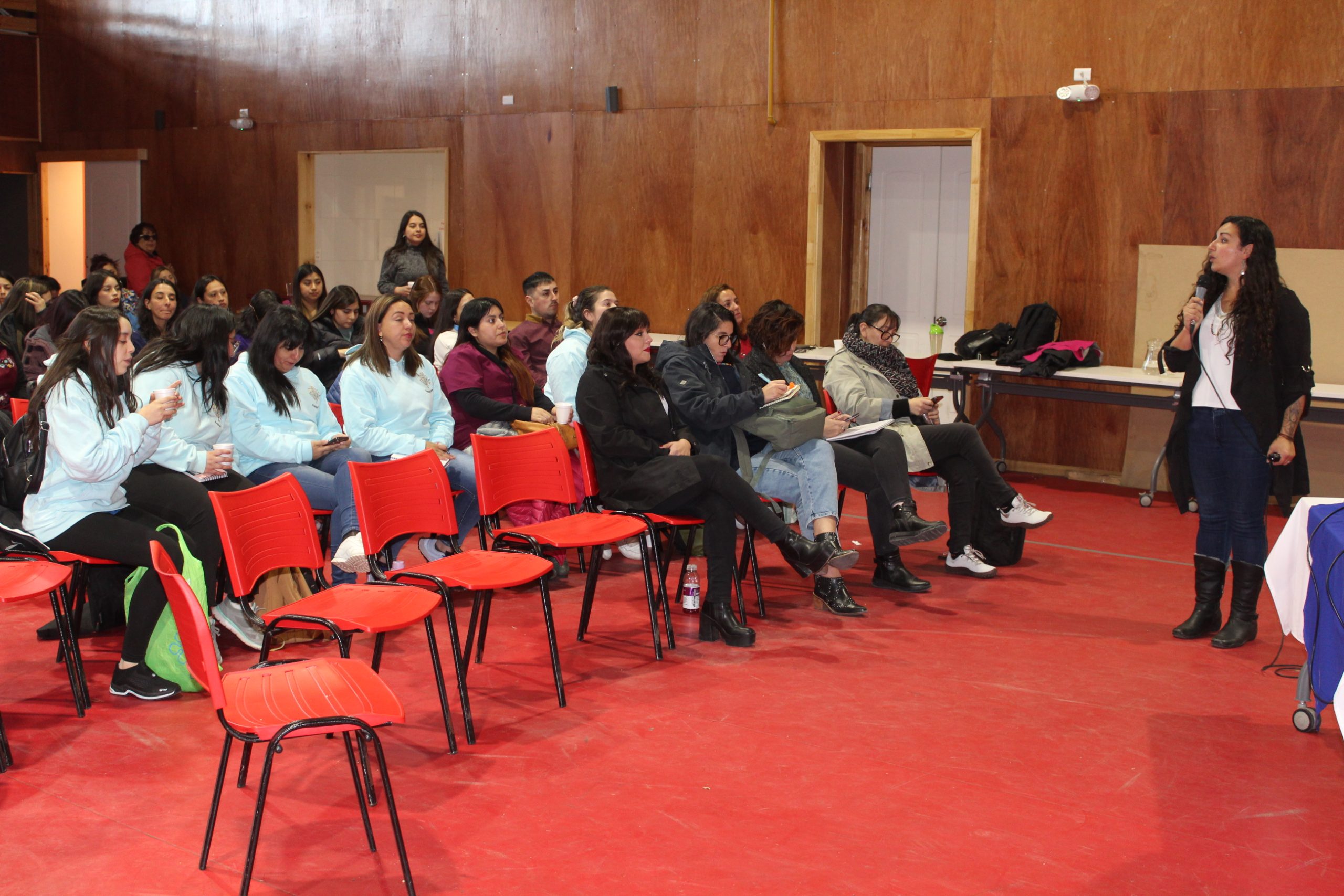 En seminario dirigido a la comunidad educativa de la provincia | Delegada Presidencial de Ultima Esperanza valora implementación de Ley TEA
