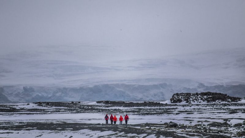 Chile será anfitrión del mayor encuentro mundial de ciencia antártica | Se realizará en Punta Arenas y Pucón