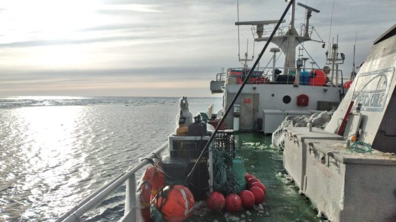 Establecen alianza clave para la observación científica y gestión sostenible de los recursos marinos en la Antártica