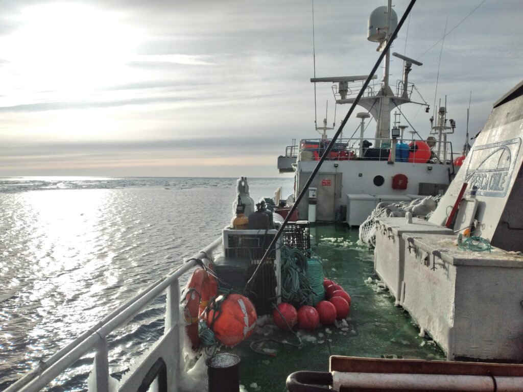 Establecen alianza clave para la observación científica y gestión sostenible de los recursos marinos en la Antártica