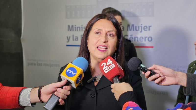 Seremi de la Mujer Alejandra Ruiz: “Urge su promulgación porque la efectiva implementación de la Ley de Violencia Integral puede salvar vidas”