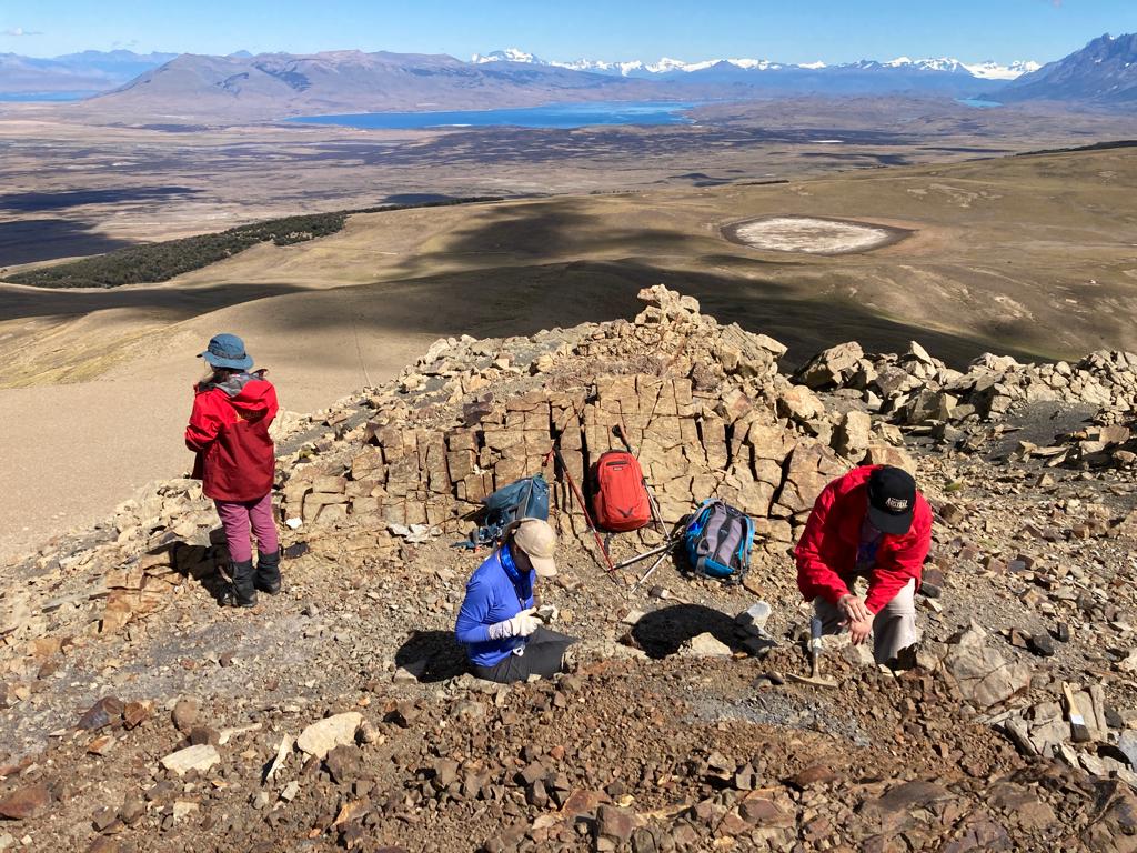 Estudio del INACH revela nuevas especies vegetales que habitaron el Cretácico superior en la Patagonia