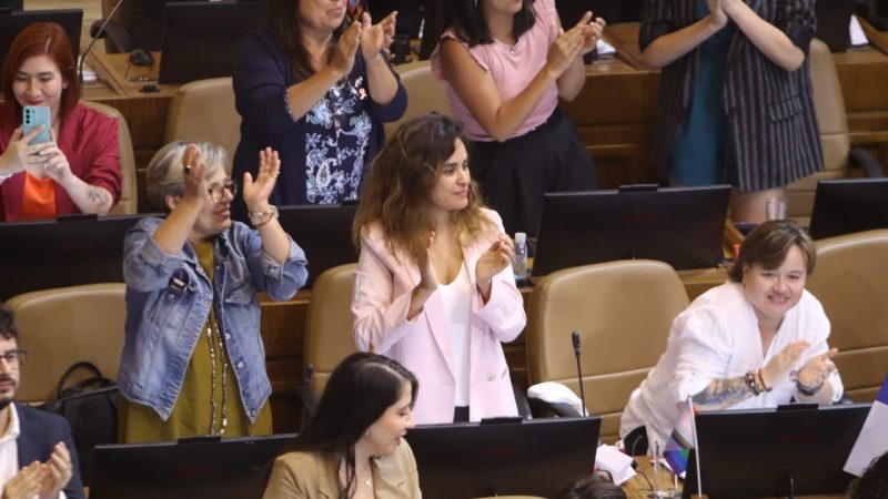 Diputada Javiera Morales por Ley integral contra la violencia hacia las mujeres: “Republicanos y Chile Vamos le hacen un flaco favor a las magallánicas al parar la ley en el Tribunal Constitucional”