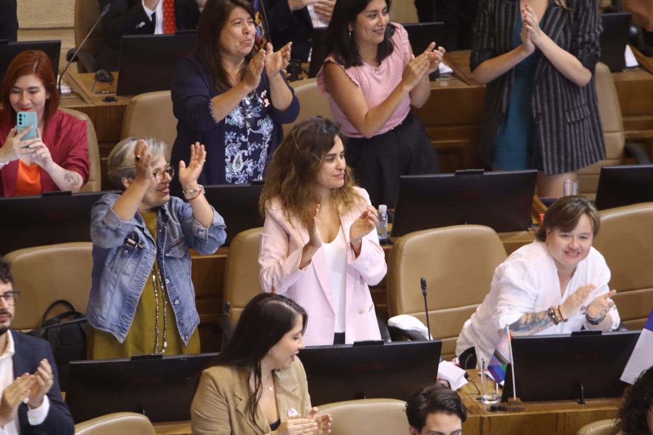 Diputada Javiera Morales por Ley integral contra la violencia hacia las mujeres: “Republicanos y Chile Vamos le hacen un flaco favor a las magallánicas al parar la ley en el Tribunal Constitucional”