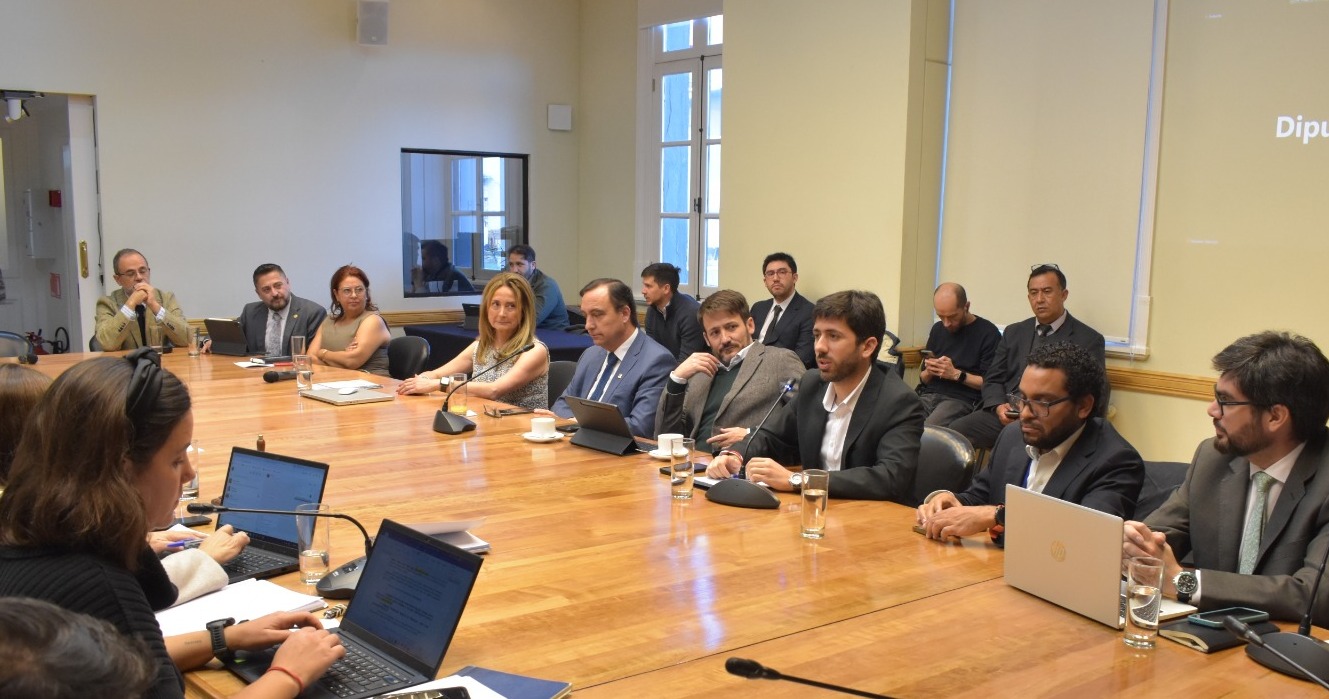 Comisiones de Minería y Energía de la Cámara de Diputados sesionan en Magallanes | Analizan proyectos de Hidrógeno Verde