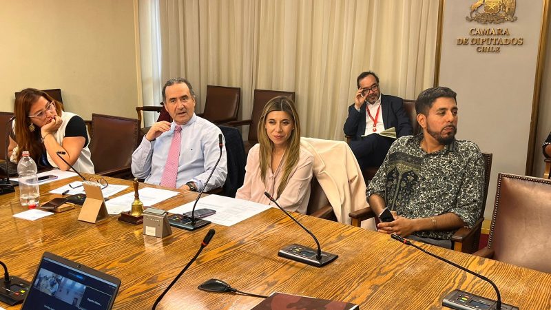 Aprobada por unanimidad idea de legislar de nueva Ley de Pesca, en comisión de la Cámara de Diputados