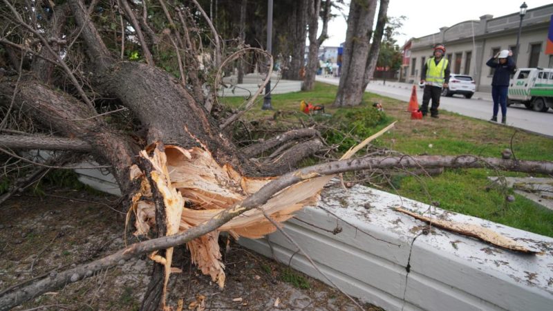 Fuertes ráfagas de viento de hasta 100 kmh provocan emergencia en pleno centro de Punta Arenas