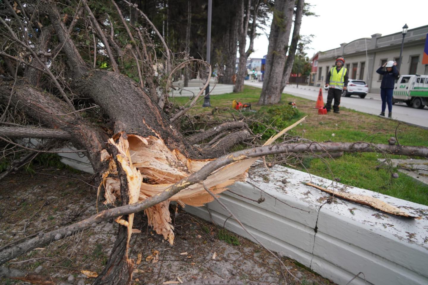 Fuertes ráfagas de viento de hasta 100 kmh provocan emergencia en pleno centro de Punta Arenas
