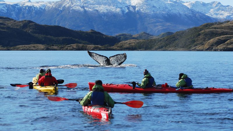 Empresas regionales promueven el destino Punta Arenas enfatizando en el Estrecho de Magallanes