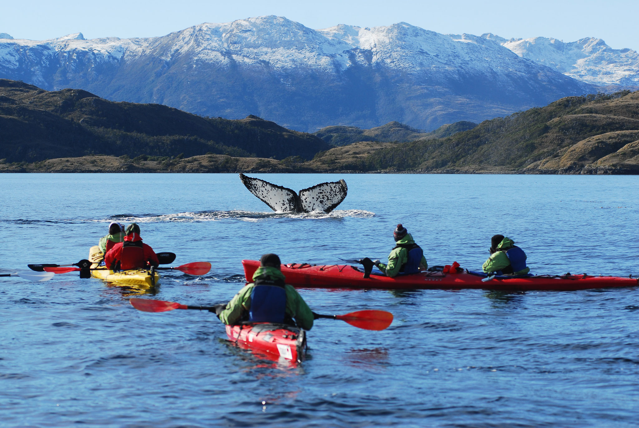 Empresas regionales promueven el destino Punta Arenas enfatizando en el Estrecho de Magallanes