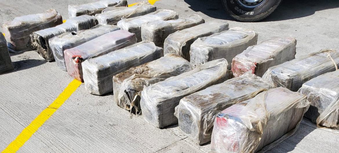 El narcotráfico deforesta el Amazonas