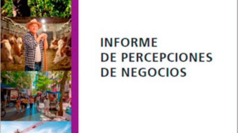 Percepciones de negocios positivas señalan empresarios para este año 2024, según informe del Banco Central