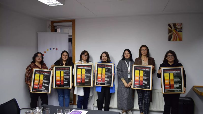 INDH de Magallanes desarrolló el encuentro “Mujeres que inciden y promueven los DD.HH.”, donde reconoció a diez lideresas