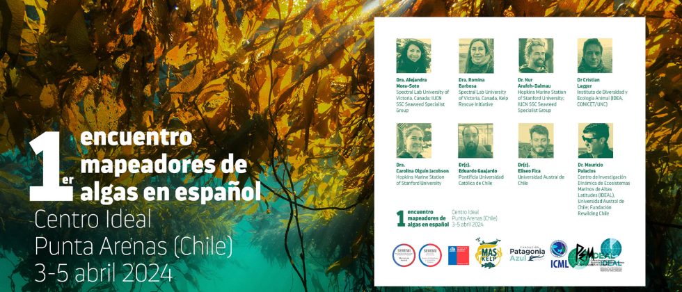 Punta Arenas será sede del primer encuentro internacional en español de mapeadores de algas