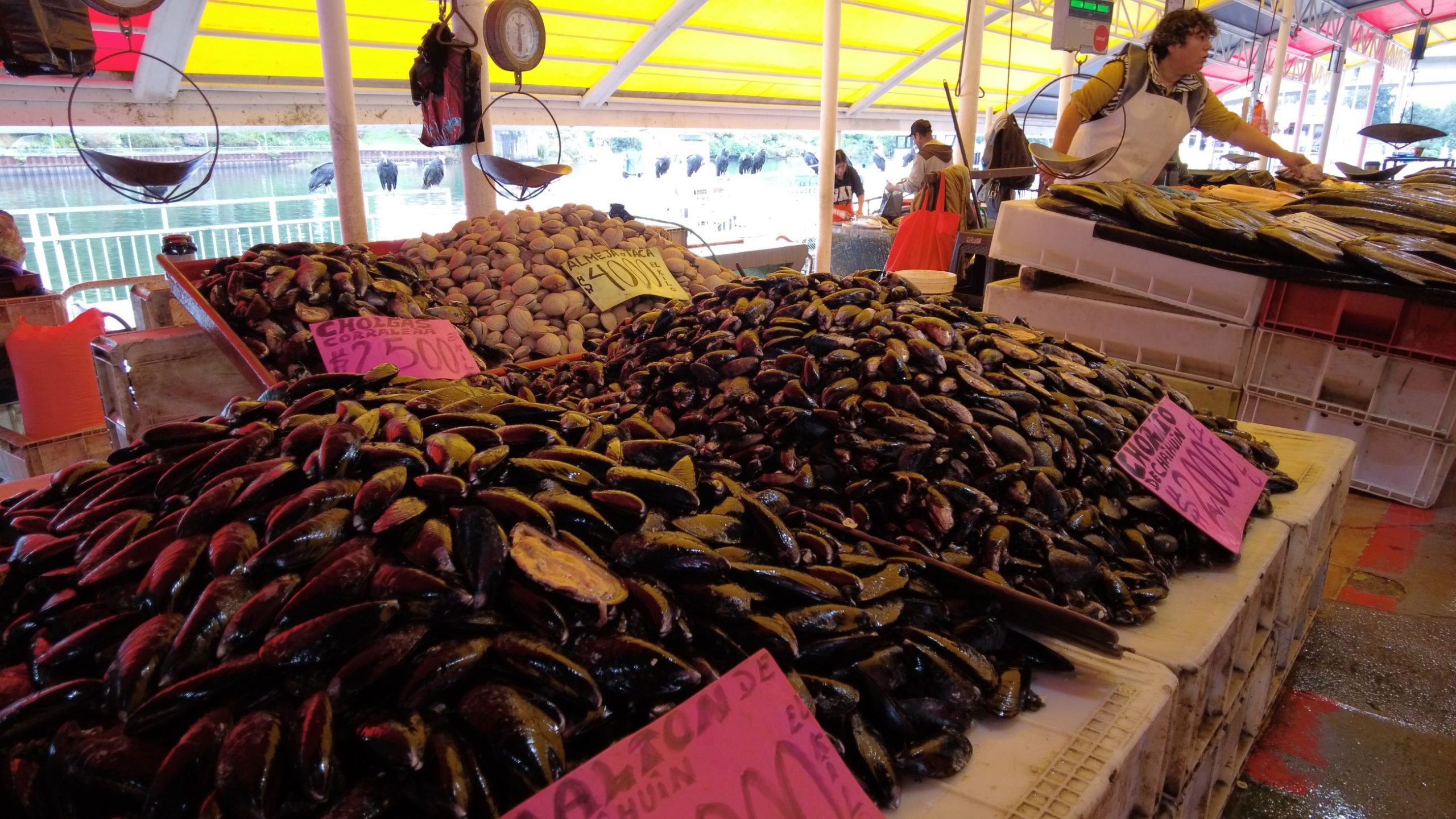 Recomendaciones para comprar pescados y mariscos en Semana Santa