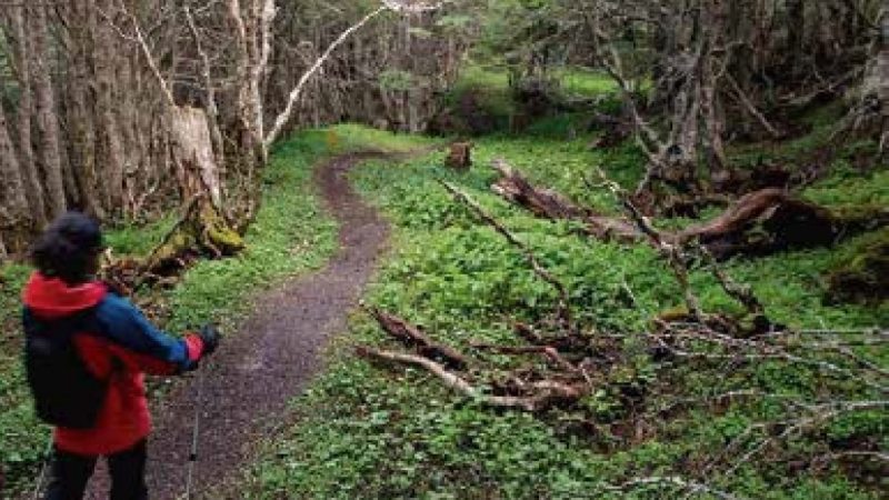 Día Nacional del Deporte, 6 y 7 de abril | Estos son los Parques Nacionales con acceso gratuito