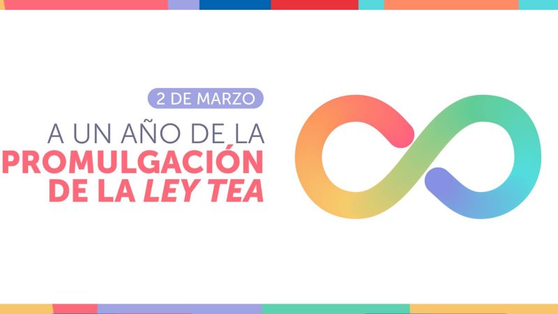 A un año de la dictación de la Ley TEA