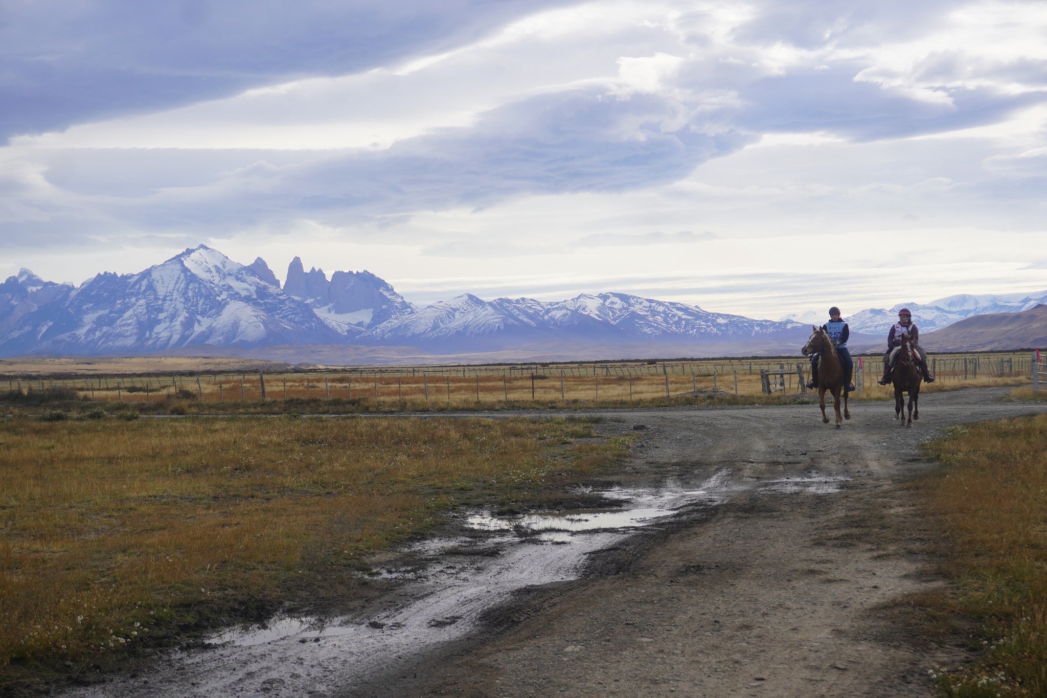 Enduro ecuestre se realizó en Cerro Guido, comuna de Torres del Paine