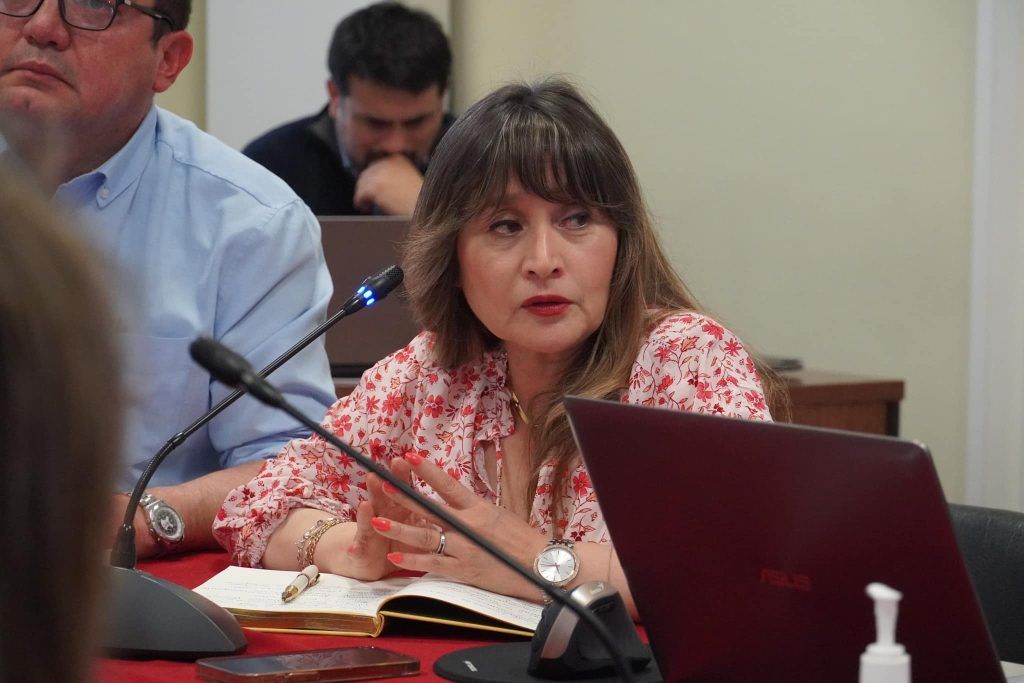 CORE de Magallanes aprobó financiamiento para diseño de pavimentación de calle Valdivia de Puerto Natales