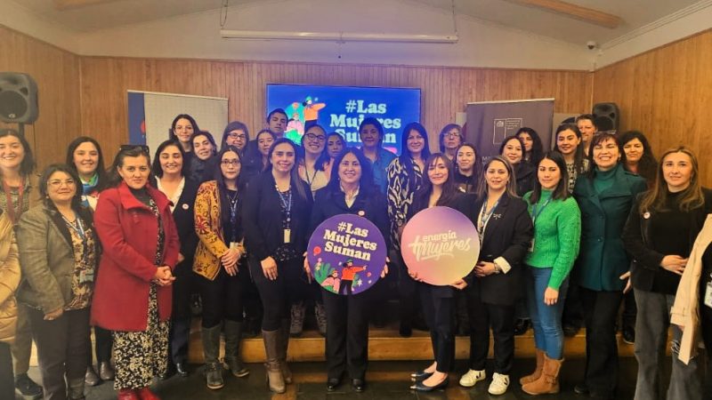 SEREMIs de la Mujer y de Energía capacitan a funcionarios y funcionarias públicas de Magallanes en Corresponsabilidad y Género