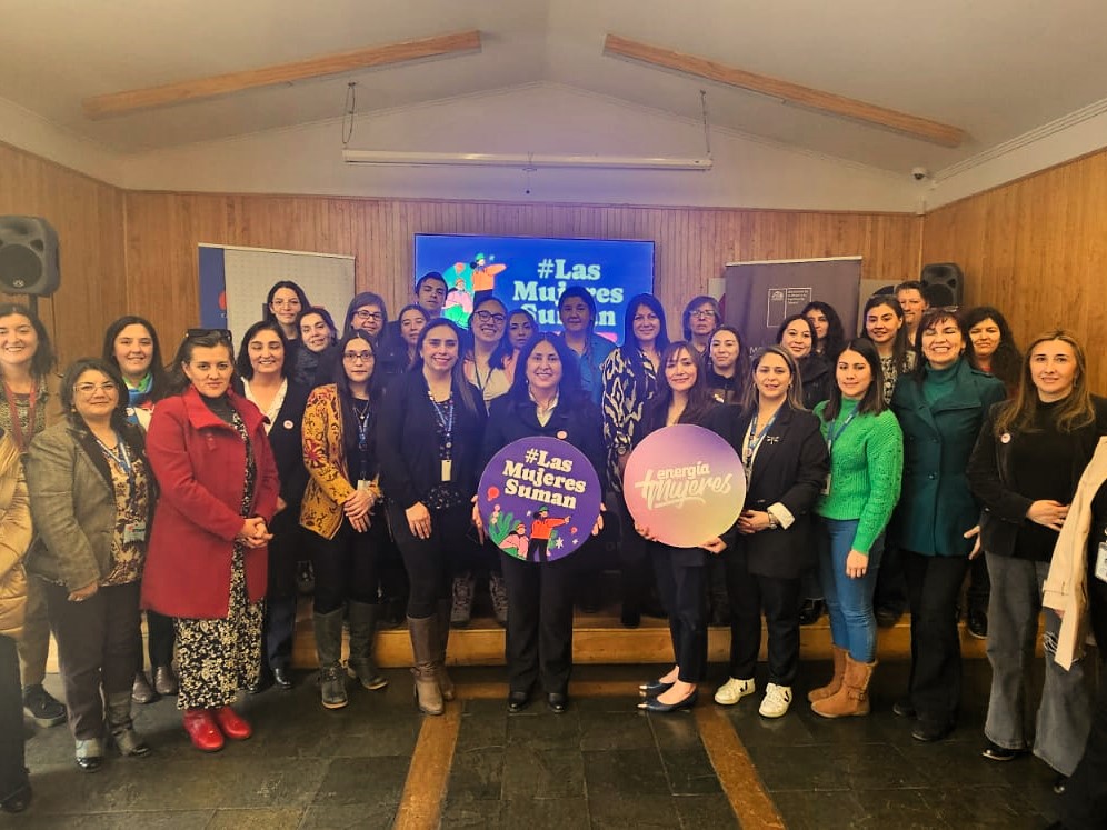SEREMIs de la Mujer y de Energía capacitan a funcionarios y funcionarias públicas de Magallanes en Corresponsabilidad y Género