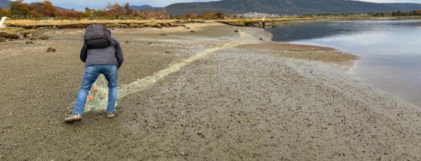 En el sector de Río San Juan al sur de Punta Arenas, retiran red calada de pesca furtiva