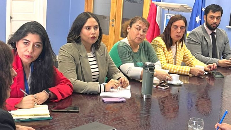 Servicios de la SEREMI de Justicia y DDHH realizaron jornada en terreno en Puerto Natales
