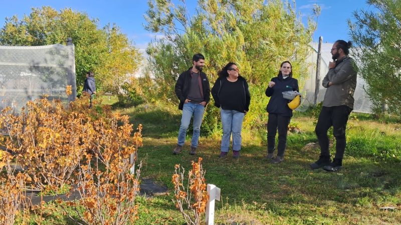 INIA Kampenaike concluyó programa de capacitación para agricultura sustentable en Magallanes