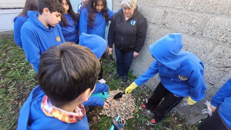 Estudiantes del colegio Luterano aprendieron sobre el “Compostaje” a través del instrumento “Explora tu Ciencia” de PAR Explora Magallanes